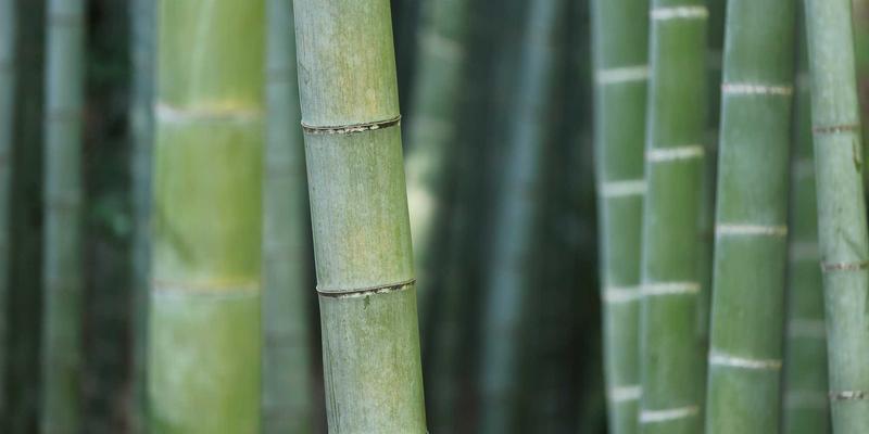 双和华力电力设备与电缆：新能源场站特殊环境适应性设计与测试全解析