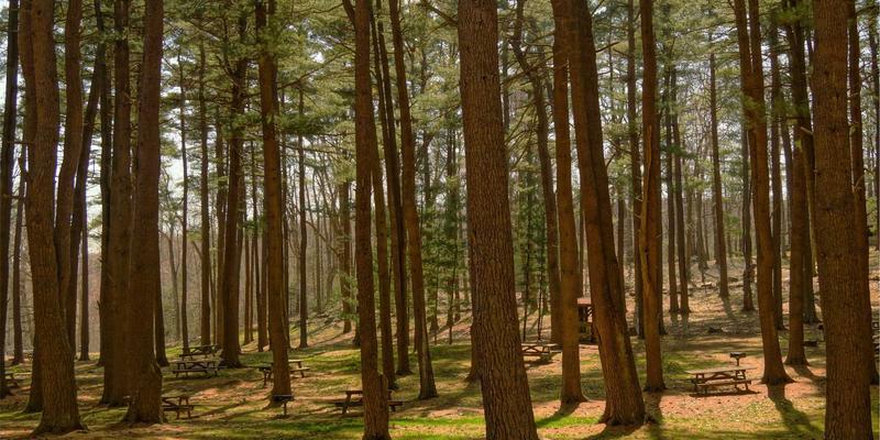 双和华力：电缆与变压器在极端气候下的适应性设计与防护涂层技术解析