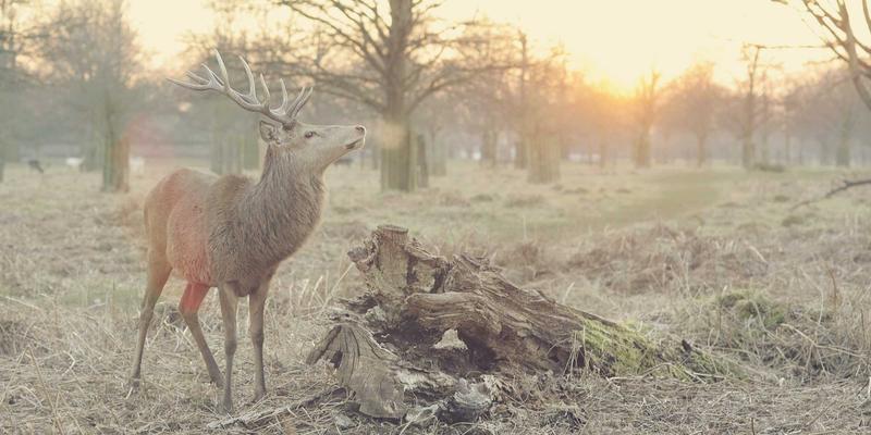 变压器与开关柜安全卫士：GIS/HGIS设备内部缺陷的超声波与特高频联合检测方法深度解析