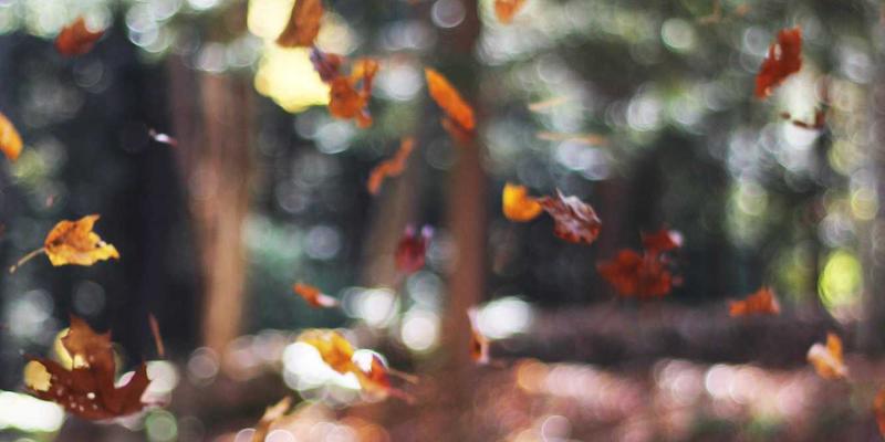 开关柜智能诊断新纪元：双和华力电气解决方案中的油色谱分析与专家系统