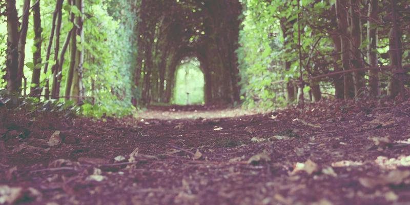 开关柜：现代电力系统的核心电气产品与综合解决方案