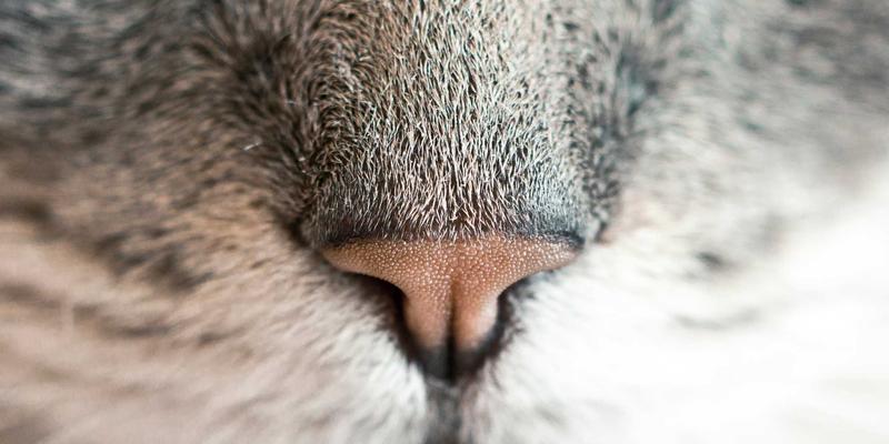 电力设备36:电缆与电气产品的核心价值与选型指南