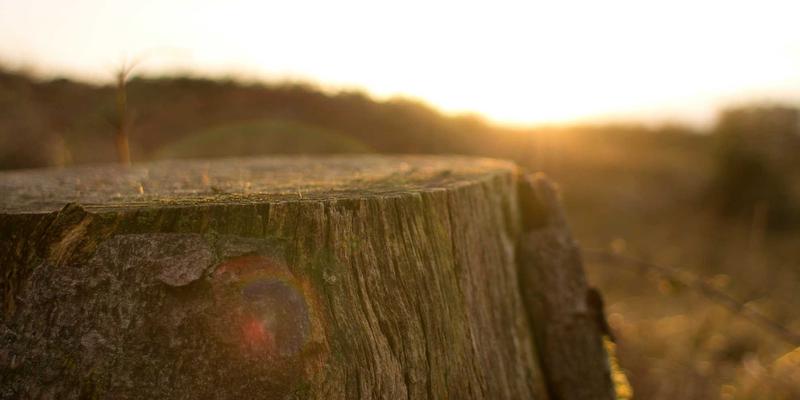 电力设备63：现代电气产品与开关柜在智能电气解决方案中的核心作用