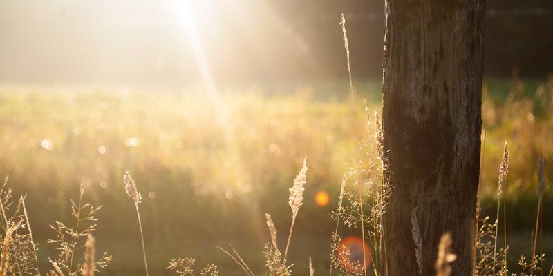 电力设备状态监测数据如何驱动智能预警？以双和华力开关柜为例