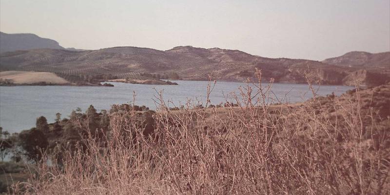 电力设备电磁脉冲防护技术及关键元器件选型指南：守护开关柜与变压器的电气解决方案